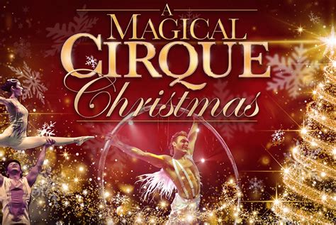 The magical yuletide cirque